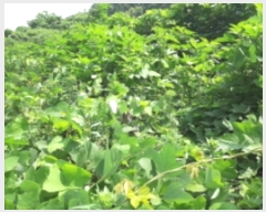  2023Ÿ��8787  �Ӿ߰��