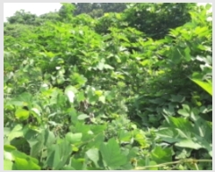  2023Ÿ��8787  �Ӿ߰��