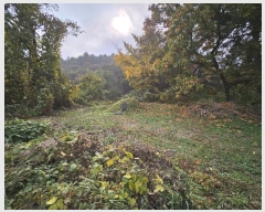  2023Ÿ��14546 ��õ ��ȭ�� ���ظ� �ϵ��� 760      ����(��1)���