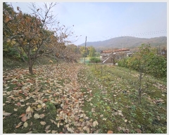  2023Ÿ��14546 ��õ ��ȭ�� ���ظ� �ϵ��� 760      ����(��1)���