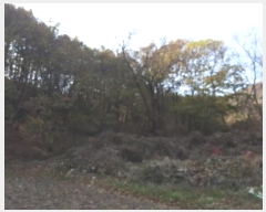  2023Ÿ��14546 ��õ ��ȭ�� ���ظ� �ϵ��� 760      ����(��1)���