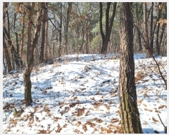  2023Ÿ��17088 ��õ ��ȭ�� ������ ��Ÿ� 924-37      ����(�Ӿ�)���