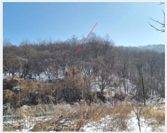  2023Ÿ��17088 ��õ ��ȭ�� ������ ��Ÿ� 924-37      ����(�Ӿ�)���