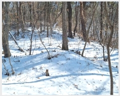  2023Ÿ��17088 ��õ ��ȭ�� ������ ��Ÿ� 924-37      ����(�Ӿ�)���