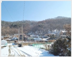  2023Ÿ��17088 ��õ ��ȭ�� ������ ��Ÿ� 924-37      ����(�Ӿ�)���