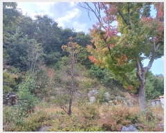  2023Ÿ��13444  �Ӿ߰��