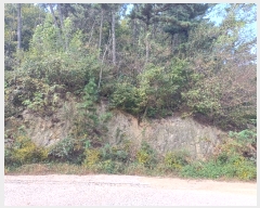  2023Ÿ��13444  �Ӿ߰��