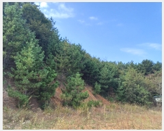  2023Ÿ��13444  �Ӿ߰��