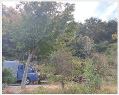  2023Ÿ��13444  �Ӿ߰��