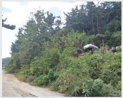  2023Ÿ��13444  �Ӿ߰��