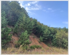  2023Ÿ��13444  �Ӿ߰��