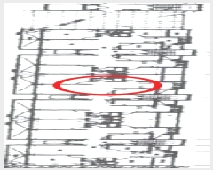  2023Ÿ526582  Ʈ