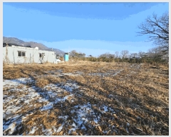  2023Ÿ��18081  �����