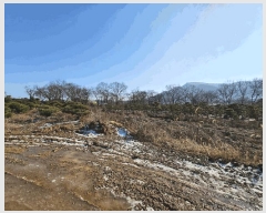  2023Ÿ��18081  �����