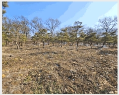  2023Ÿ��18081  �����