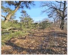  2023Ÿ��18081  �����