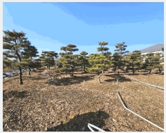  2023Ÿ��18081  �����