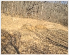  2023Ÿ��18319 ��õ ���� �� ��159-4       ����(�Ӿ�)���