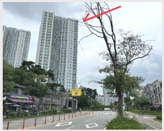  2023Ÿ530819 õ  ֺ 93, 503 272703ȣ (漭,û󿡽̺)    Ʈ