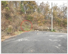  2023Ÿ542362 õ ȭ  ϸ 183-14      (Ӿ)