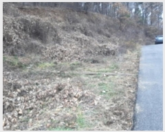  2023Ÿ542362 õ ȭ  ϸ 183-14      (Ӿ)