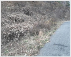  2023Ÿ542362 õ ȭ  ϸ 183-14      (Ӿ)