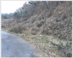  2023Ÿ542362 õ ȭ  ϸ 183-14      (Ӿ)