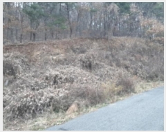  2023Ÿ542362 õ ȭ  ϸ 183-14      (Ӿ)