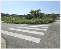  2023Ÿ516103 õ ߱ ϵ 1289-10       ()