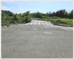  2023Ÿ516103 õ ߱ ϵ 1289-10       ()