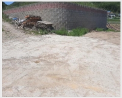  2023Ÿ5535 õ ȭ  ฮ 275-9      ()