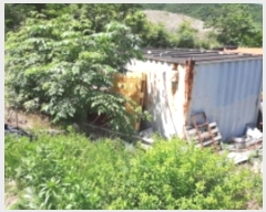  2023Ÿ5535 õ ȭ  ฮ 275-9      ()