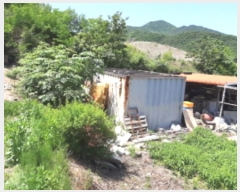  2023Ÿ5535 õ ȭ  ฮ 275-9      ()