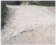  2023Ÿ5535 õ ȭ  ฮ 275-9      ()