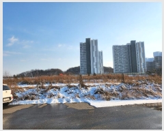  2023Ÿ��549431  �����