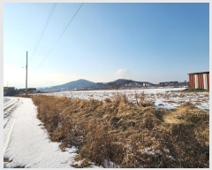  2023Ÿ��549431  �����