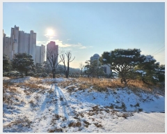  2023Ÿ��549431  �����