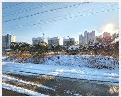  2023Ÿ��549431  �����