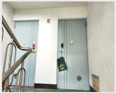  2023Ÿ6125 õ 籸 ֺ 520,  5501ȣ (굿,Ʈ)    Ʈ