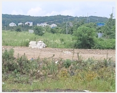  2023Ÿ7975 õ ߱ ϵ 1272-4       ()