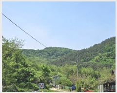  2023Ÿ514138 õ  ϵ ŵ 113-14      (Ӿ)