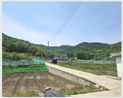  2023Ÿ514138 õ  ϵ ŵ 113-14      (Ӿ)