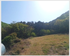  2023Ÿ514138 õ  ϵ ŵ 113-14      (Ӿ)