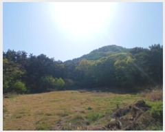  2023Ÿ514138 õ  ϵ ŵ 113-14      (Ӿ)