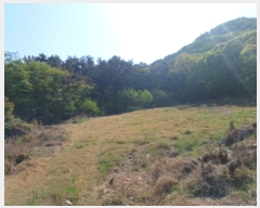  2023Ÿ514138 õ  ϵ ŵ 113-14      (Ӿ)