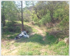  2023Ÿ514138 õ  ϵ ŵ 113-14      (Ӿ)