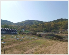  2023Ÿ514138 õ  ϵ ŵ 113-14      (Ӿ)