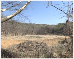  2023Ÿ��550615 ��õ ������ ����� �ܸ� 210      ���(�󰡽ü�)���