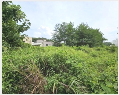  2023Ÿ40753     83-26      (Ӿ)