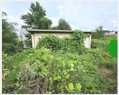  2023Ÿ40753     83-26      (Ӿ)